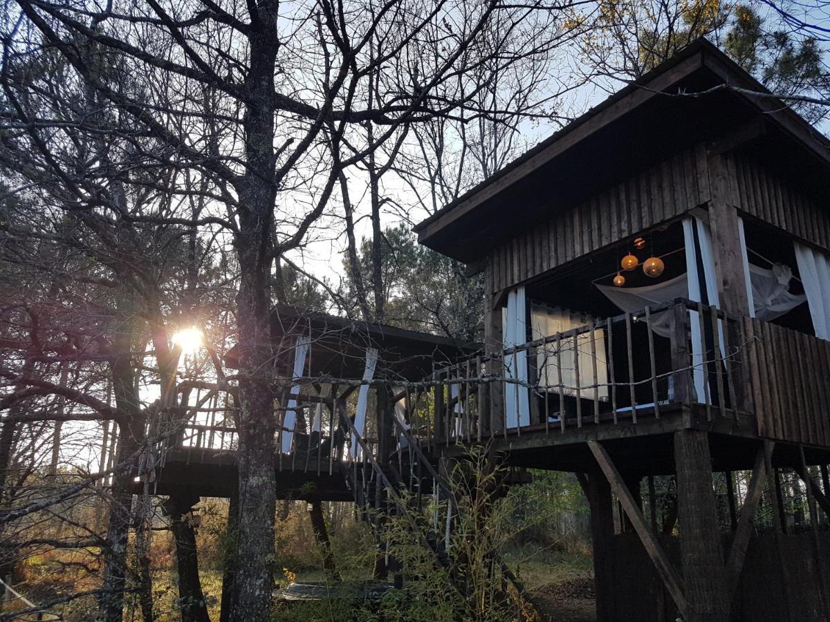 Bed and Breakfast Les Landines Origne  Экстерьер фото
